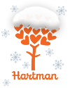 Logo with Snow